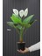 Yapay Ağaç Çiçekli Spatifilyum Bitkisi 70 cm (9 Yaprakli-3 Çiçekli) 2