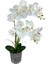 Yapay Çiçek 2li Beyaz Islak Orkide Seramik Saksıda Orkide 60 cm 1