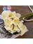 Yapay Çiçek Islak Gala Gerçeksi Eva Malzeme Cala Flower 8li Krem 2