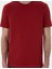Erkek Nar Çiçeği Regular Fit Tişört 50302581-VR239 6