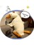 Hellokimi Uzun Peluş Beyaz Kaz Yıkanabilir Uyku Yastığı Büyük Beyaz Kaz Peluş Oyuncak Kaz Oyuncak Dolması Gerçekçi Büyük Kanatlar Ördek Kucaklama Masaj Atma Yastığı Erkek Arkadaşı Yastık Kız Için (Yurt Dışından) 3