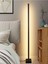 Lıght Modern Rgb 256 Renk Dekoratif Lambader LED Işık Sistemi 4