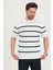 Erkek Bisiklet Yaka Kalın Çizgi Detaylı Kısa Kollu Ince Triko T-Shirt 4