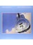 Dire Straits Brothers In Arms Plak 1