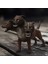 Nessiworld Schleich Hp Fluffy 13990 2