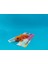 Sevimli Leoplar Gecko Anahtarlık - 3D Baskı Özel Tasarım 2