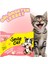 Cat Yavru Kedi Maması Kuzulu Flowpack 5*85 Gr. (425GR.) 2