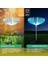 Solar Led'li 7 Renk Değiştiren Bahçe Dekorasyon Aydınlatma 2'li Paket 4