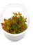 Ludwigia Mini Super Red In Vitro Canlı Bitki 2