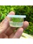 Cryptocoryne Parva Küçük In Vitro Cup Canlı Bitki 3