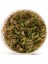 Rotala Macrandra Mini Red In Vitro Canlı Bitki 2
