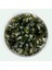 Bucephalandra Brownie Phoenix In Vitro Cup Canlı Bitki 4