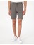 Erkek Vizon Slim Fit Beli Lastikli Bağcıklı Dokuma Şort 50305901-VR052 2