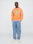 Erkek Turuncu Gap Logo Relaxed Fleece Sweatshirt 3