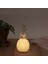 Ananas Şeklinde Desenli Büyük Boy Pilli Masa ve Gece Lambası (4767) - MBN6802-9050 3