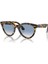Rb 2241 Wayfarer Way 1332/3F 51 1