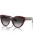 TIFFANY & CO. TF 4220 8389/3C 54 1