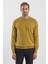 Hardal Slim Fit Bisiklet Yaka Erkek Triko 1