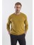 Hardal Slim Fit Bisiklet Yaka Erkek Triko 2