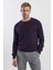 Mor Slim Fit Bisiklet Yaka Erkek Triko 1