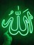 Neon LED Işıklı Allah Lafzı 2