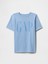 Erkek Çocuk Mavi Gap Logo T-Shirt 1