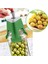 Kolay Zeytin Çizme Aparatı 4