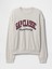 Erkek Bej Vintagesoft Gap Logo Sweatshirt 3