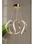 Clasy Model Gold Kaplama Metal Salon Mutfak Oturma Yatak Odası Modern LED Beyaz Işık Avize 1