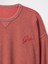 Erkek Pembe Vintage Soft Oversize Gap Logo Sweatshirt 4
