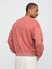 Erkek Pembe Vintage Soft Oversize Gap Logo Sweatshirt 5
