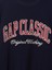 Erkek Lacivert Vintagesoft Gap Logo Sweatshirt 4