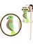 Nature First Kedi Oltası Kuş 1