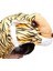 Çocuk Kaplan Kostumu - Aslan Kostümü 4-5 Yaş 100 cm (4887) 3