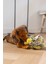 Köpek Ödül Saklama Oyuncağı, Top, Polar, gri/yeşil, 13cm 5