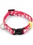 Köpek Tasması, Pembe, 20-30cm, 10mm 1