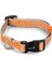 Köpek Boyun Tasması, Açık Gri Turuncu, 26-40cm 1