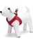 Köpek Göğüs Tasması, Neopren, Kırmızı, S, 38-44cm 1