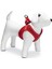 Köpek Göğüs Tasması, Neopren, Kırmızı, S, 38-44cm 2