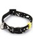 Köpek Tasması, Siyah, 20-30cm, 10mm 1