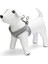 Köpek Göğüs Tasması, Neopren, Yeşil, xs, 30-35cm 1
