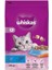 Ton Balıklı ve Sebzeli Yetişkin Kedi Maması 300 gr 1