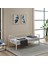 Alchera Daybed Tek Kişilik Sedir Divan Metal Karyola Beyaz 4