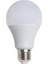 CT-4274G 15W LED Ampul E27 Gün Işığı 10 Adet 1