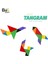 Renkli Tangram Zeka ve Dikkat Oyunu 3
