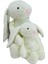 Peluş Yavrulu Tavşan 60 Cm PL62308PL62307 1
