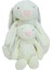 Peluş Yavrulu Tavşan 60 Cm PL62308PL62307 2