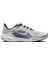 Aır Zoom Pegasus 41 Gri Erkek Koşu & Antrenman Ayakkabısı FD2722-005 1