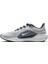 Aır Zoom Pegasus 41 Gri Erkek Koşu & Antrenman Ayakkabısı FD2722-005 5