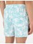 Erkek Mint Deniz Şortu 50307955-VR090 4